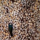 보배창고 이미지