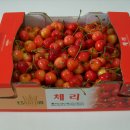 체리김밥 네이버블로그