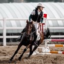 안산승마클럽 이미지