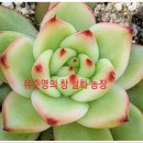 철화농장 이미지