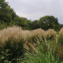 솔솔바람 이미지