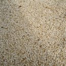 착한참기름 이미지