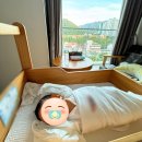 돌봐줄개 | 장유 오즈조리원 VIP룸 솔직후기 (마사지 비용)