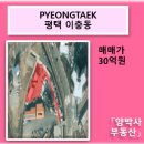양박사부동산공인중개사사무소 이미지