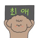 악세슬이 이미지