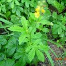 선학초등학교 이미지