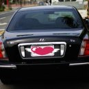 기아카브레타 이미지