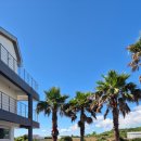 대정오션뷰풀빌라 이미지