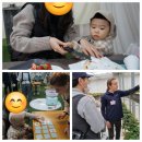 시골농장1호 이미지