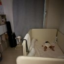 에이스클럽 | 아기침대로 오래쓸 수 있는 에이스침대 <라쿠엘> 클럽에이스2(CA2) 내돈내산 구매후기