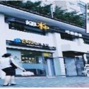 퍼플카우컴퍼니