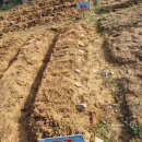 채송화농장 이미지