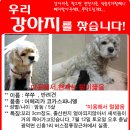 신흥1리 이미지