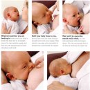 모유 수유의 시작 (The beginning of breast-feeding)