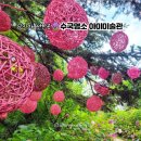 누리아미 이미지