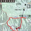 말하는 은행나무 이미지