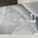 모두 함께 즐기는 삼행시 이미지