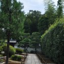 폭염 속의 관서순례기 - 6일 교토 라쿠난6 (훈다인芬陀院)
