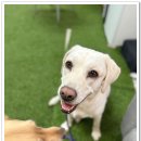 아이조아 요양보호소 경기광주 이미지