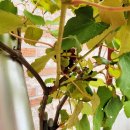 휴양림하우스 이미지