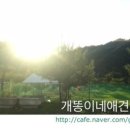 개똥이네캠핑장 이미지