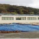 디씨에프(주) 이미지