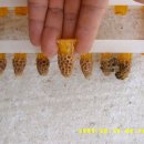 효선농장 이미지