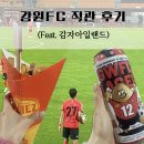 K리그 강원FC 직관 후기 | 춘천 감자아일랜드 감자튀김 감자맥주 존맛탱