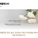 (주)젠틀펫 이미지