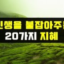자연치유 이미지