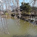 영산 연지 이미지