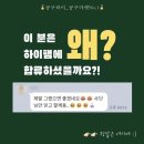 더하이솔루션