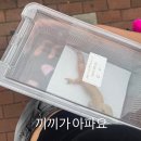 부산 특수동물 병원 추천 덕천동물의료센터 진료 내돈내산 솔직후기
