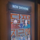 일영약국 | 영화 달짝지근해 후기 카메오 쿠키영상