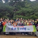 온새미로숲학교사회적협동조합 이미지