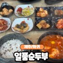 일품식당 | [제주/하귀] 제주도 가성비식당 "일품순두부 하귀점" 솔직후기