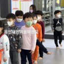 용인대 한여울 태권도장 이미지