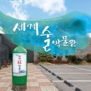 세계술박물관 이미지