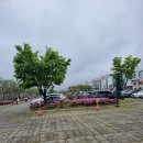 108 | [서산 1경] 해미읍성 | 입장료, 주차 모두 무료! 풍경, 산책로, 간식으로 호떡 먹은 후기