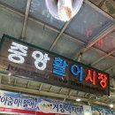 통영 여행 먹거리 중앙활어시장 착한회시장 신선한 회 포장 내돈내산 후기