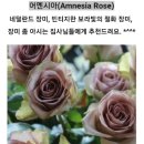 시아홈즈