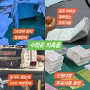 ■ [2026. 6.3 지방선거 부정선거 증거 자료들 모음] ■ 이미지