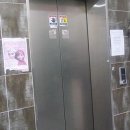 초지2로 이미지