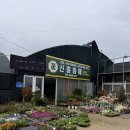 다채로운 식물과 합리적인 가격이 매력적인 영천 꽃집 신흥 화훼