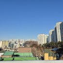 중앙동262 이미지