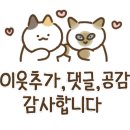 반포대로20길 28 이미지