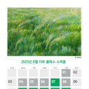 아띠스떼21