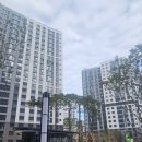 서부산부동산중개사무소 이미지