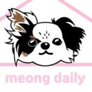 데일리멍 이미지