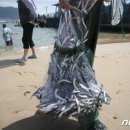 푸른건강식품연구원 이미지